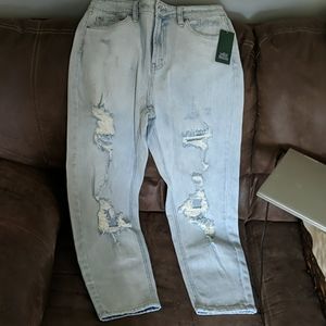 Wild Fable Mom Jean NWT